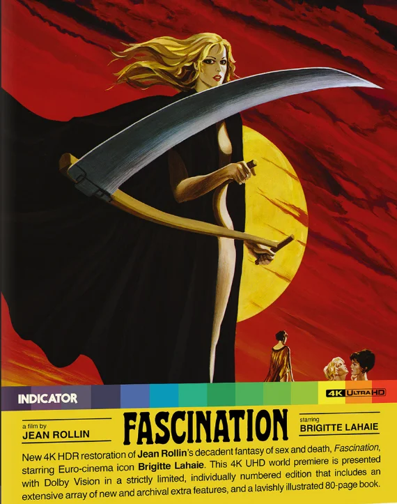 Fascination 4K 1979 poster