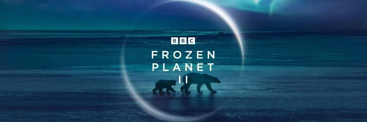 Frozen Planet II 4K 2022 big poster