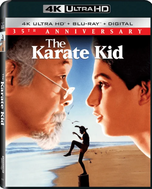 The Karate Kid 4K 1984 poster