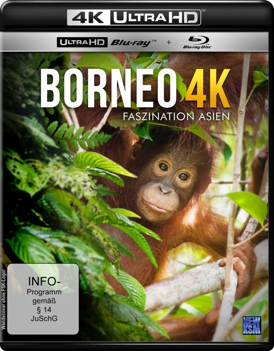 Borneo: The Fascination of Asia 4K DOCU 2017 poster