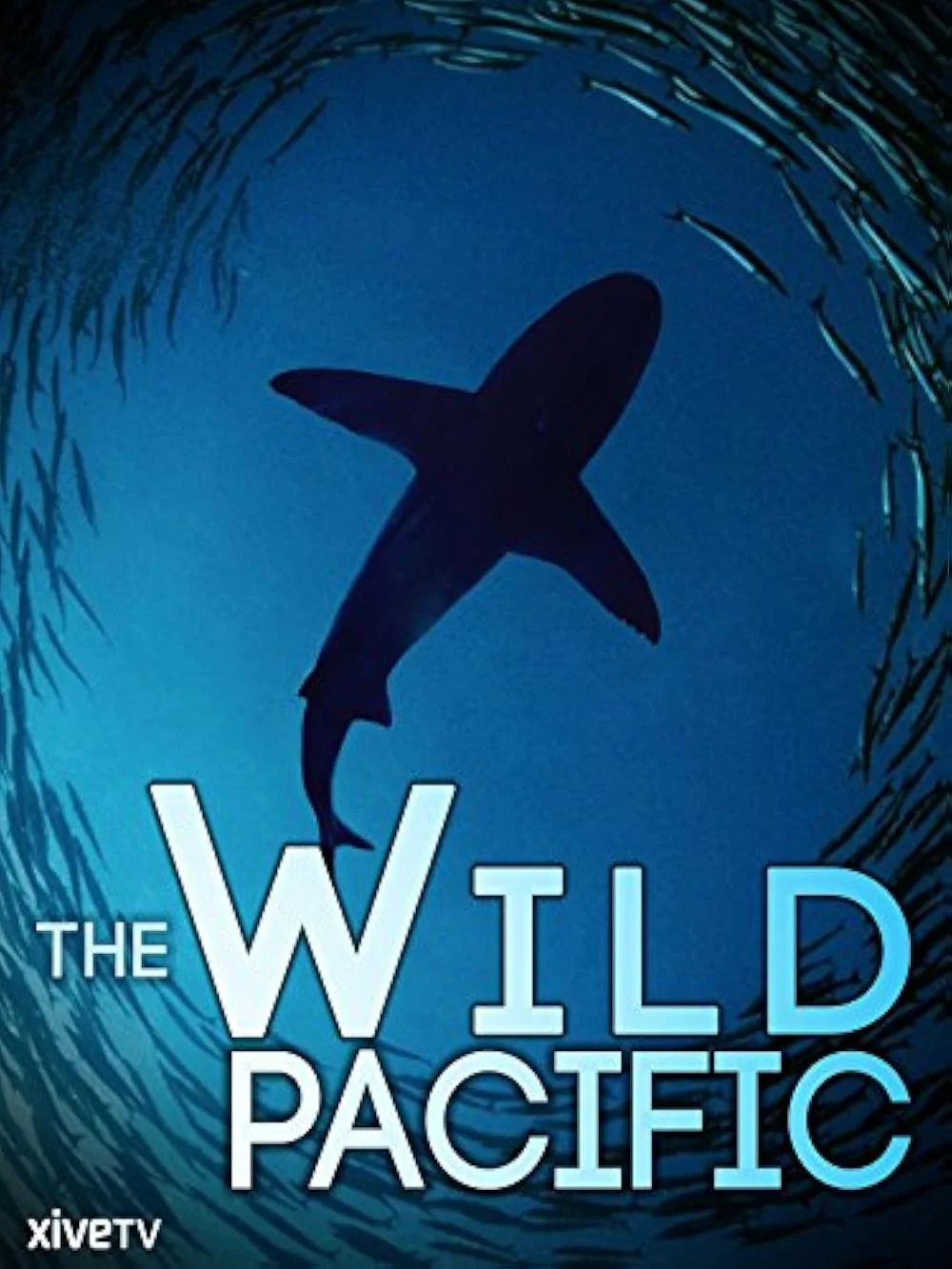 The Wild Pacific 4K 2016 poster