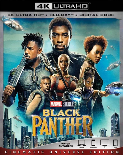 Black Panther 4K 2018 poster