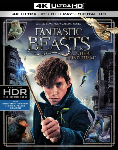 Fantastic Beasts and Where to Find Them 4K 2016 poster