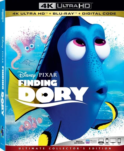 Finding Dory 4K 2016 poster