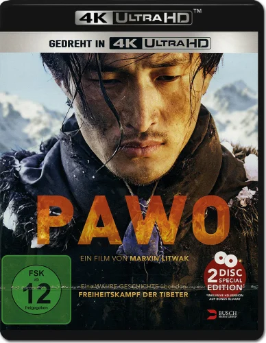 Pawo 4K 2016 poster