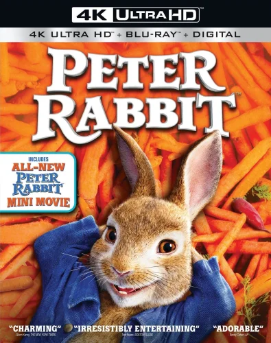 Peter Rabbit 4K 2018 poster