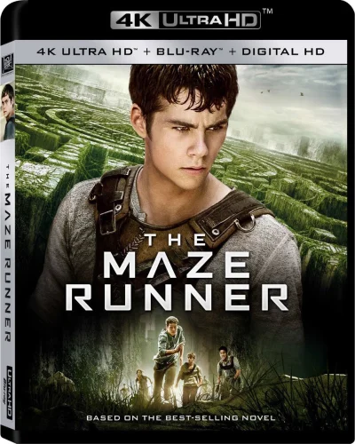 The Maze Runner 4K 2014 poster