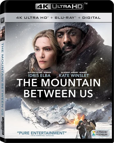 The Mountain Between Us 4K 2017 poster