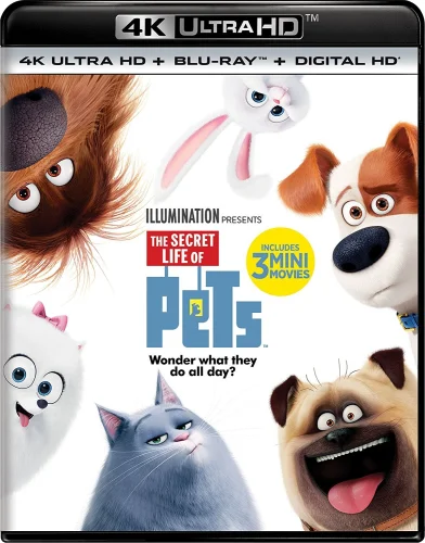 The Secret Life of Pets 4K 2016 poster