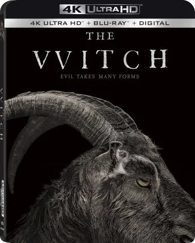 The Witch 4K 2015 poster