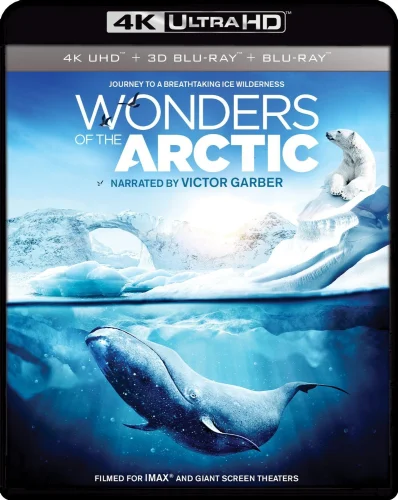 Wonders of the Arctic 3D 4K 2014 poster