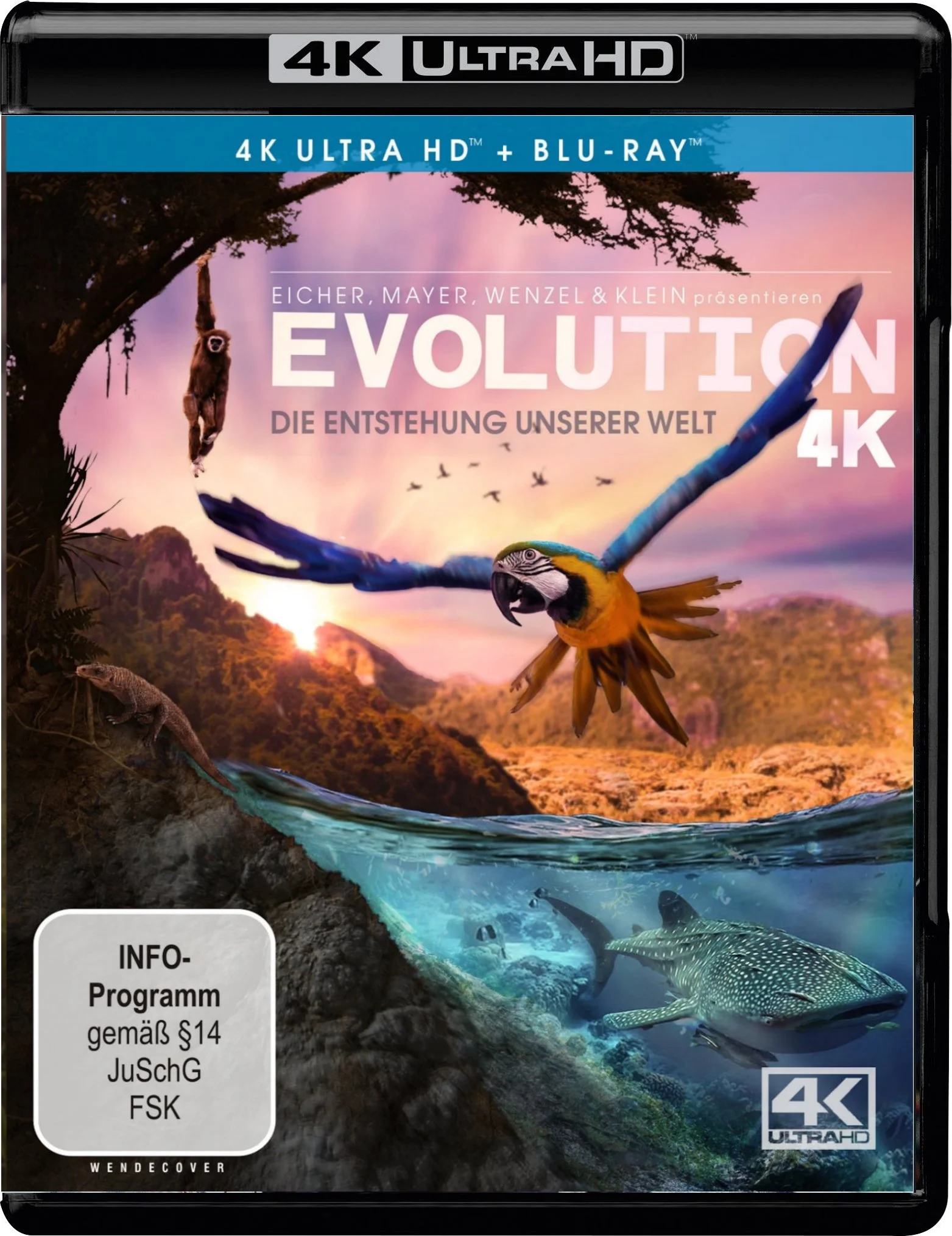 Evolution 4K 4K 2018 poster