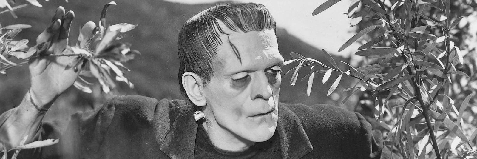 Frankenstein 4K 1931 big poster