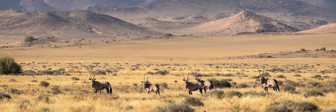 Namibia: The Spirit of Wilderness 4K 2016 big poster