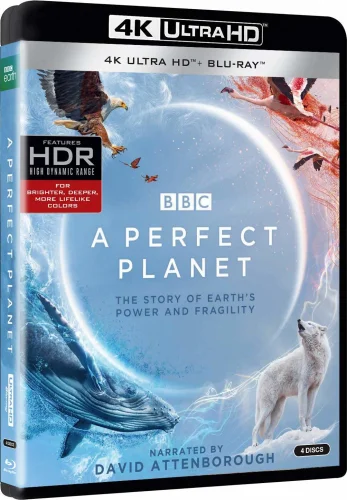 A Perfect Planet 4K S01 2021 poster