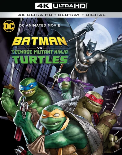 Batman vs Teenage Mutant Ninja Turtles 4k 2019 poster