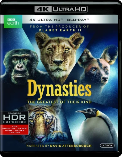 Dynasties S01 4K 2018 poster