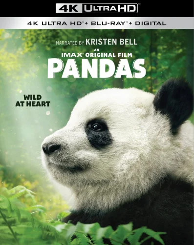 Pandas 4K 2018 poster