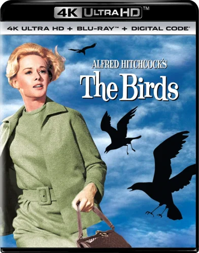 The Birds 4K 1963 poster