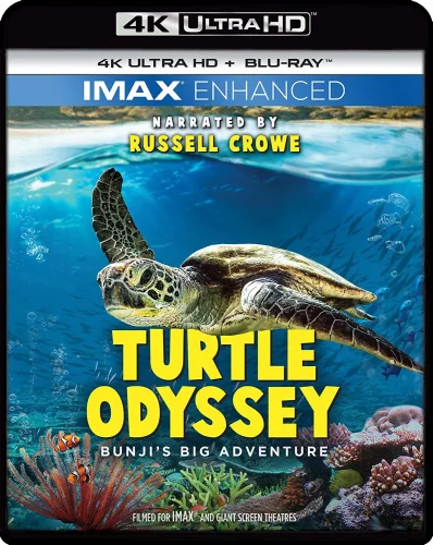 Turtle Odyssey 4K 2018 poster