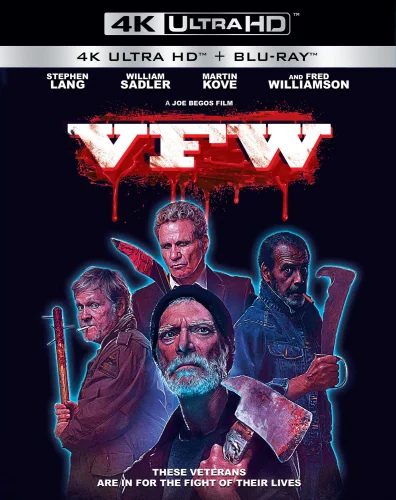 VFW 4K 2019 poster