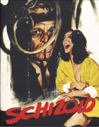 Schizoid 4K 1980 poster