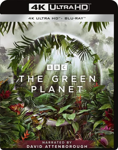 The Green Planet S01 4K 2022 poster