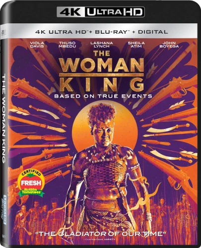 The Woman King 4K 2022 poster