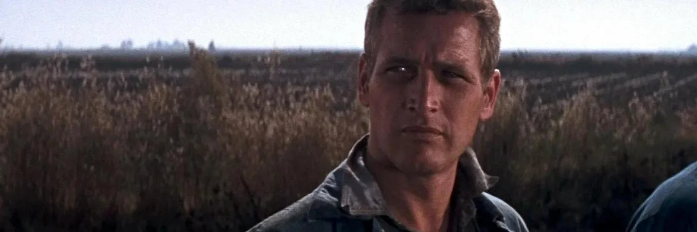 Cool Hand Luke 4K 1967 big poster