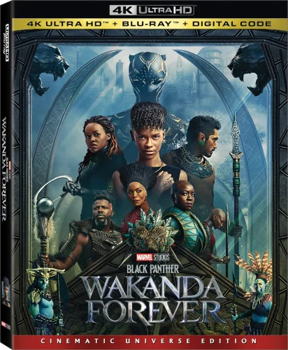 Black Panther: Wakanda Forever 4K 2022 poster