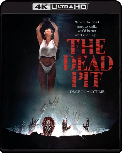 The Dead Pit 4K 1989 poster