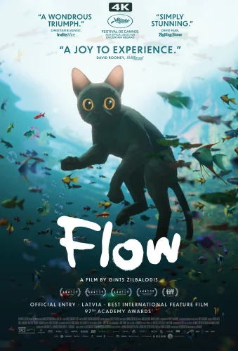 Flow 4K 2024 poster