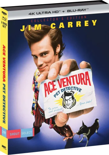 Ace Ventura: Pet Detective 4K 1994 poster