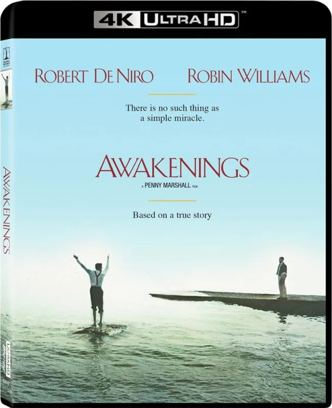 Awakenings 4K 1990 poster