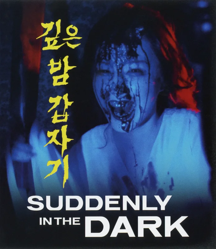 Suddenly in the Dark 4K 1981 poster