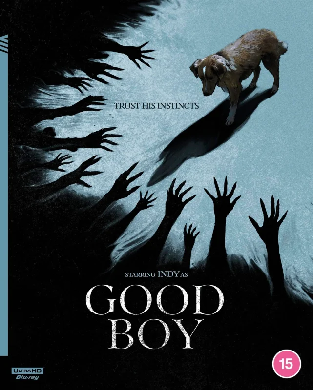 Good Boy 4K 2025 poster