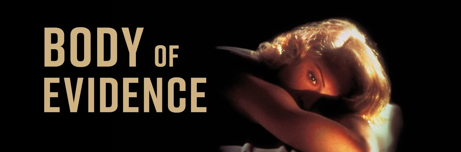 Body of Evidence 4K 1993 big poster