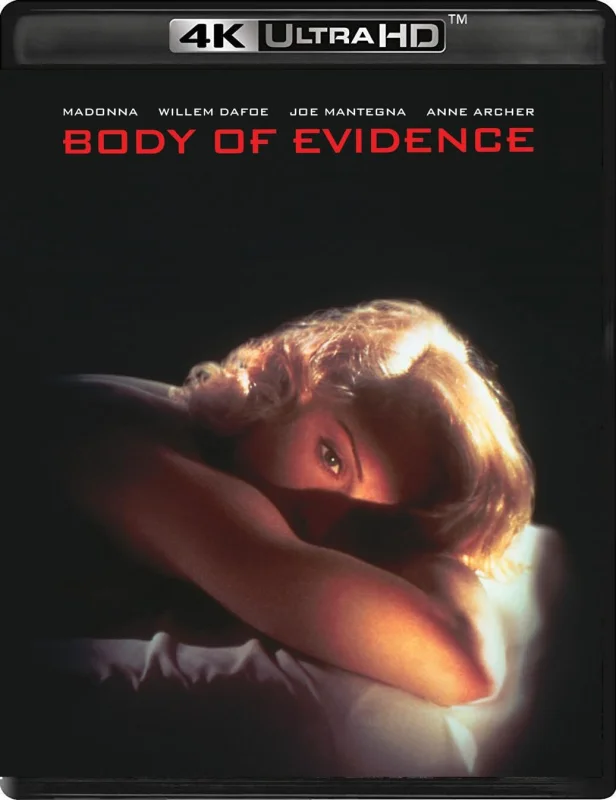 Body of Evidence 4K 1993 poster