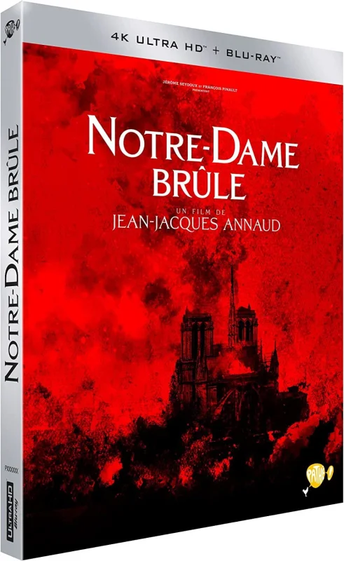 Notre-Dame on Fire 4K 2022 poster