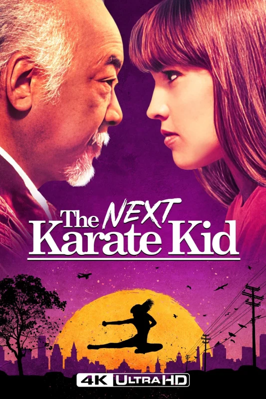 The Next Karate Kid 4K 1994 poster