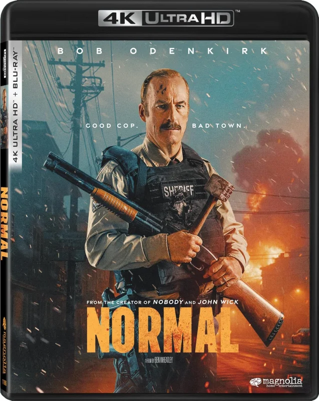 Normal 4K 2025 poster