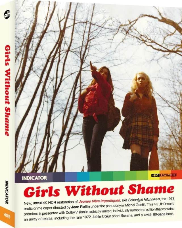 Schoolgirl Hitchhikers 4K 1973 poster