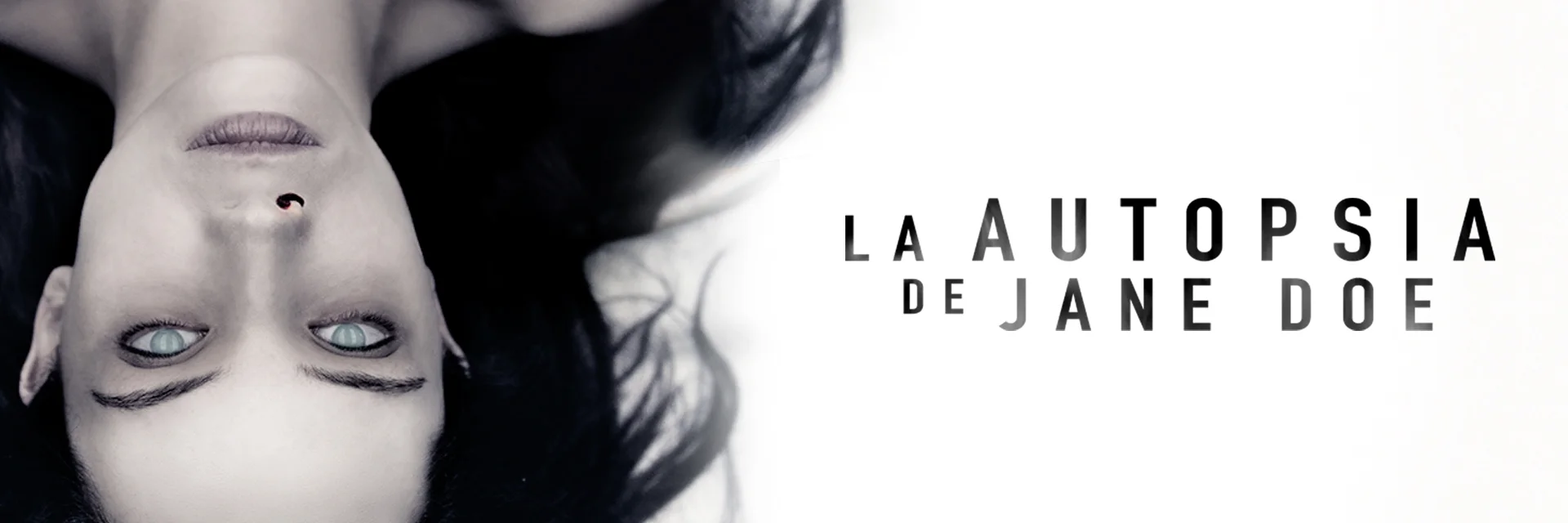 The Autopsy of Jane Doe 4K 2016 big poster
